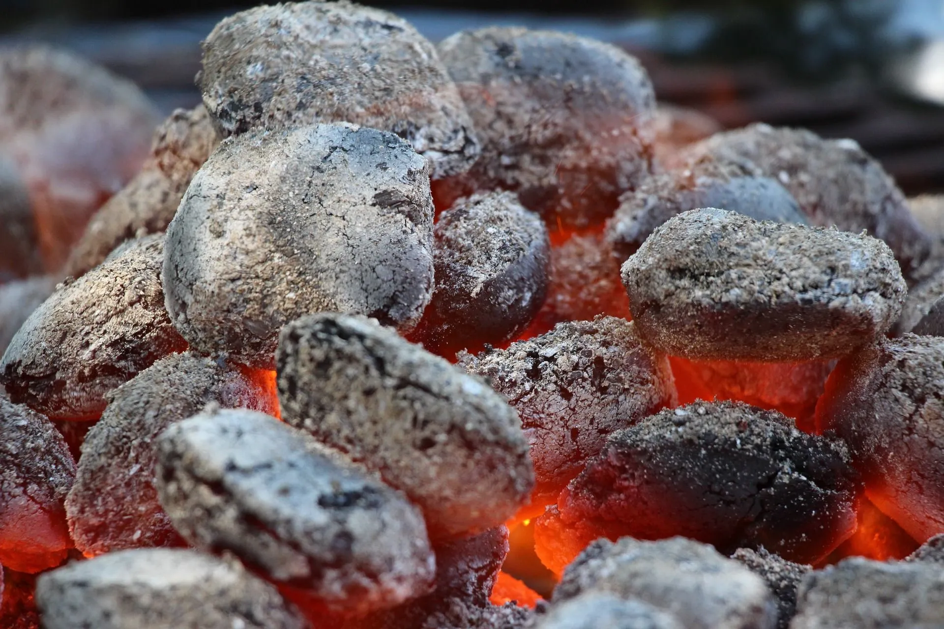 Best Charcoal Briquettes